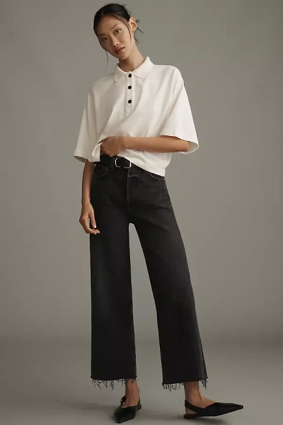 Agolde Ren High-rise Crop Wide-leg Jeans