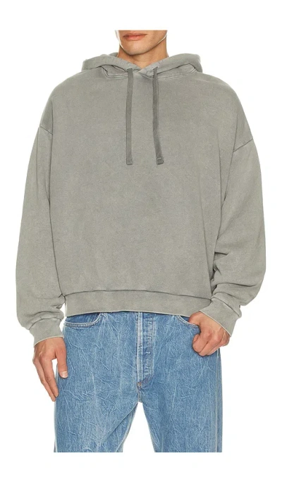 Agolde Salford Hoodie In Gray