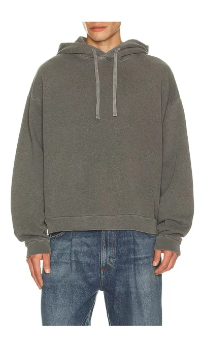 Agolde Salford Hoodie In Gray