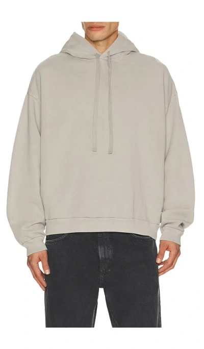 Agolde Salford Hoodie In Neutral