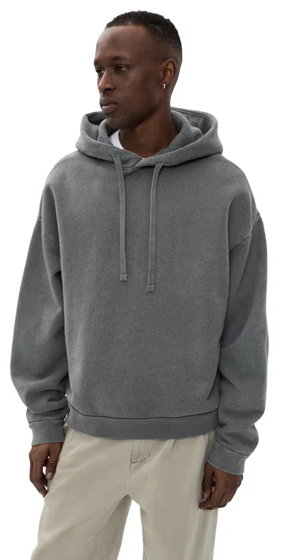 Agolde Salford Hoodie Strand In Gray