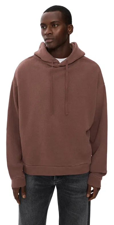 Agolde Salford Hoodie Sumac In Brown