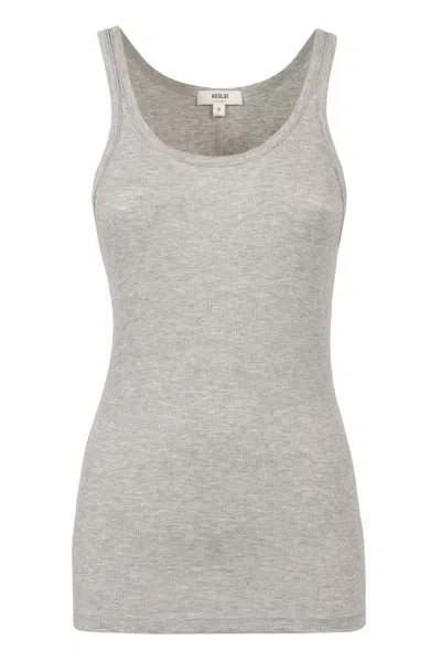 Agolde Sleeveless Scoop Neck Tank Top In Grey
