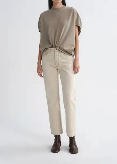 Agolde Souline Rounded Sleeves T-shirt In Trail In Gray
