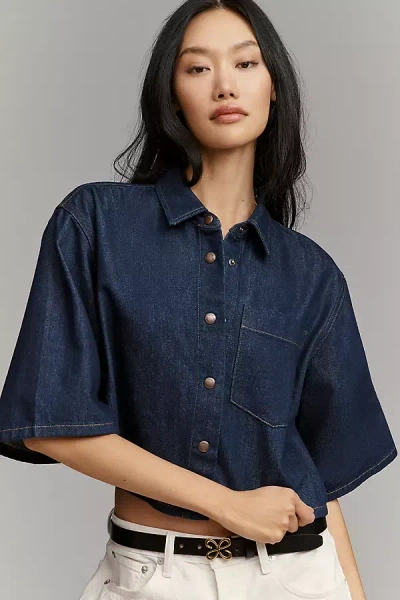 Agolde Tomine Buttondown Shirt In Blue
