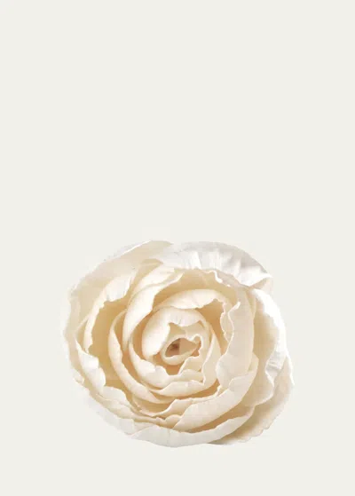 Agraria Peony Diffuser Flowers In White