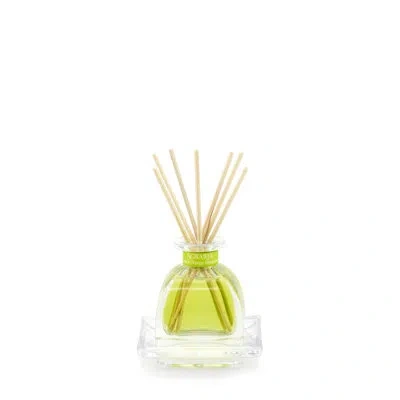 Agraria Petitessence In Yellow;clear