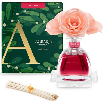 Agraria San Francisco Holiday Airessence Reed Diffuser In Pink