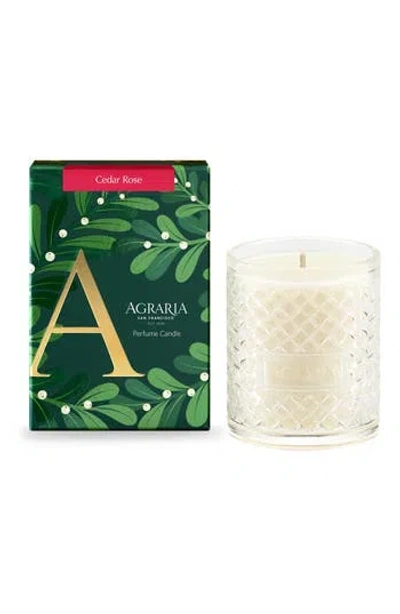 Agraria San Francisco Holiday Perfume Candle In White
