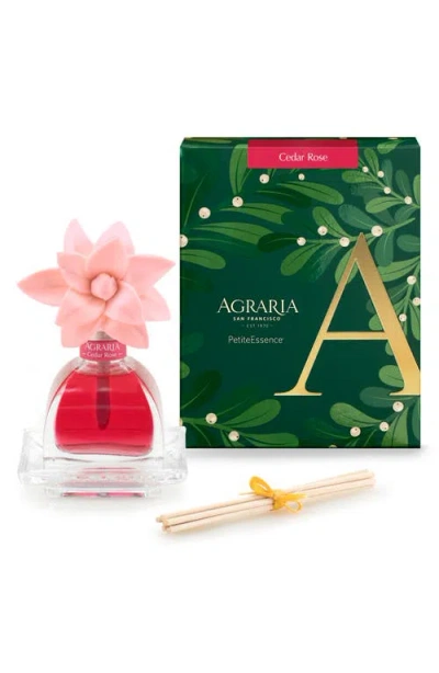 Agraria San Francisco Holiday Petite Diffuser In Pink