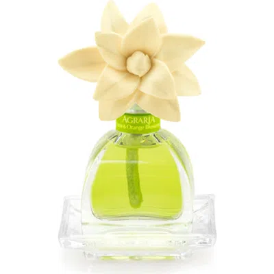 Agraria San Francisco Petiteessence Diffuser In Green