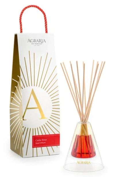 Agraria San Francisco Reed Diffuser In Pink