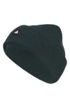 Agron Premium Cuff Fold Beanie In Green
