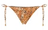Agua Bendita Alegria Jambo Bikini Bottom In Brown