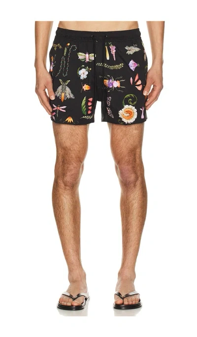 Agua Bendita Cassius Swim Trunks In Black