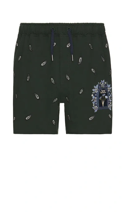 Agua Bendita Men's Returning To The Roots Cece Cipres Embroidered Shorts In Multicolor