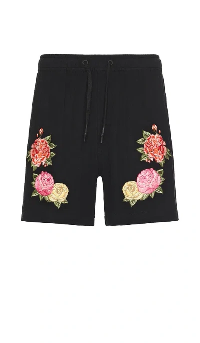 Agua Bendita Cece Shorts In Black