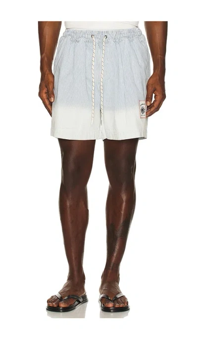 Agua Bendita Cece Shorts In Blue