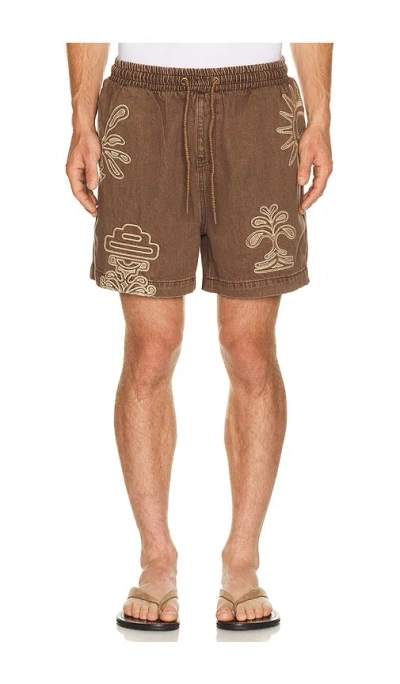 Agua Bendita Cece Shorts In Brown