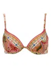 Agua Bendita Floral-print High-waisted Bikini Top In Brown