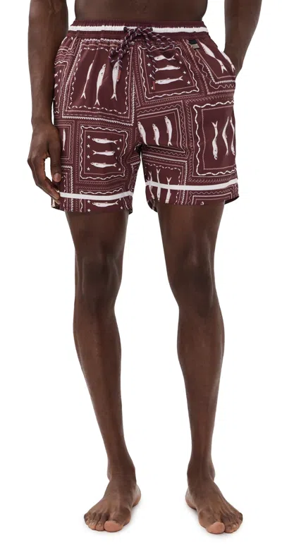 Agua Bendita Joe Trunks In Brown