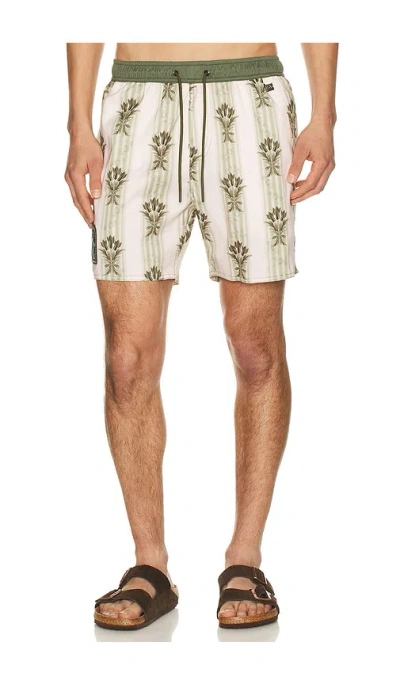 Agua Bendita Joe Swim Trunks In Multi