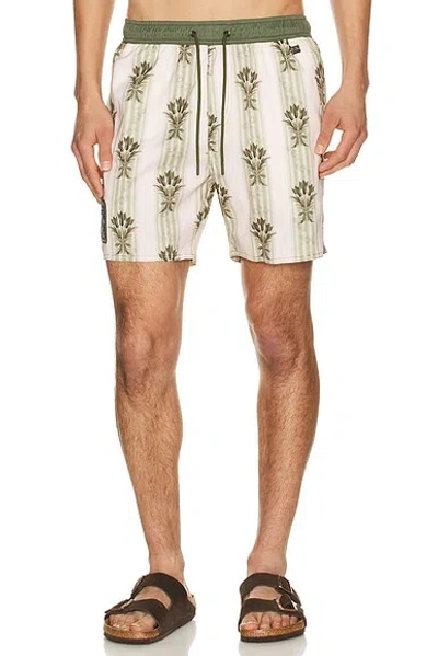 Agua Bendita Joe Swim Trunks In Green