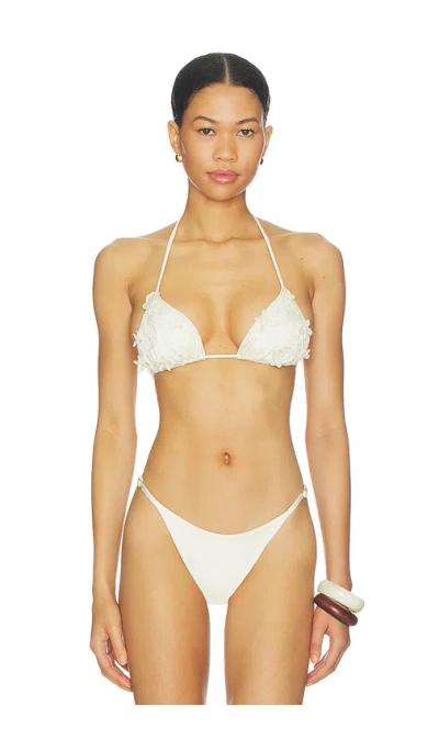 Agua Bendita Lolita Ivy Bikini Top In Multi