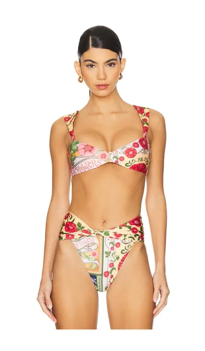 Agua Bendita Malory Harvest Bikini Top In Multicolor