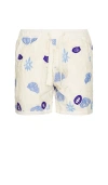 Agua Bendita Maury Shorts