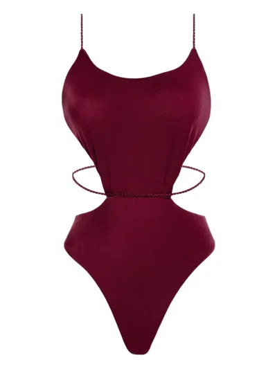 Agua Bendita Nadine Aura Swimsuit In Burgundy