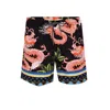 Agua Bendita Joe Voila Mens Swim Short