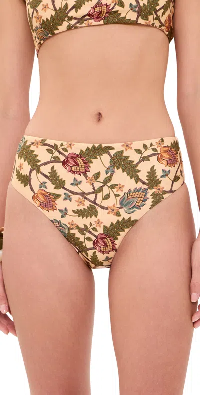 Agua Bendita Penelope Zafra Bikini Bottoms Multicolor In Green