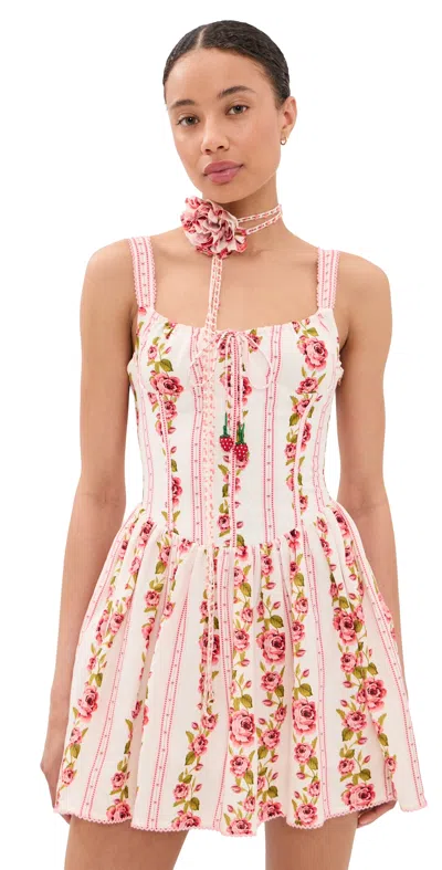 Agua Bendita Spring Mini Dress Pamuk In Multi