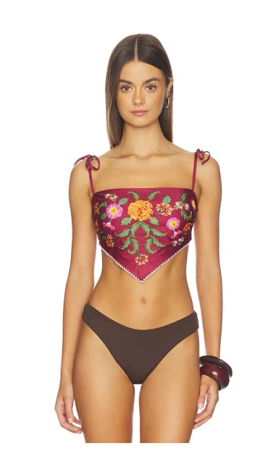Agua Bendita X Revolve Avorio Bikini Top In Black