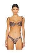 Agua Bendita X Revolve Donna Bikini Top In Wild Leopard
