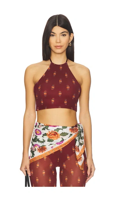 Agua Bendita X Revolve Jam Crop Top In Brown