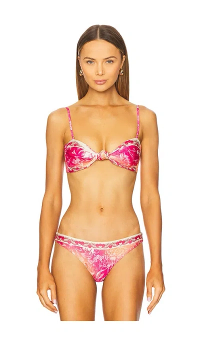 Agua Bendita X Revolve Lucille Bikini Top In Pink
