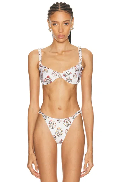 Agua By Agua Bendita Agraz Andes Floral-print Stretch Recycled Balconette Bikini Top In Multi