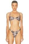 Agua By Agua Bendita Agraz Ruffled Leopard-print Stretch Recycled Bikini Top In Multi