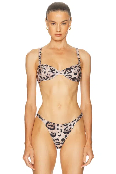 Agua By Agua Bendita Agraz Jaguar Bikini Top In Multi