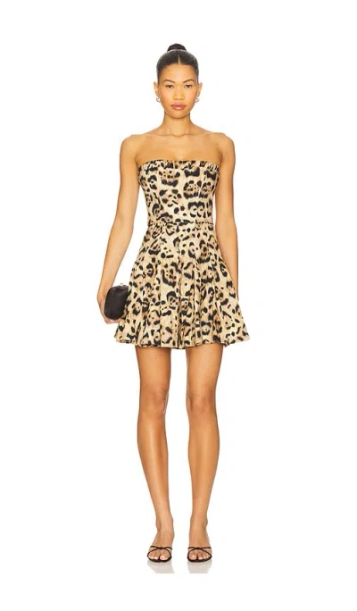 Agua By Agua Bendita Caudal Leopard-print Stretch-cotton Mini Dress In Brown