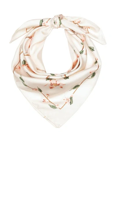 Agua By Agua Bendita Ceiba Navegante Scarf In Pink