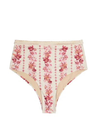 Agua By Agua Bendita Nopaul Floral-printed Stretch Recycled Bikini Briefs In Multi