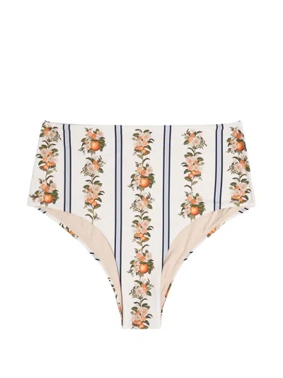 AGUA BY AGUA BENDITA FLORAL-PRINT STRIPED BIKINI BOTTOM