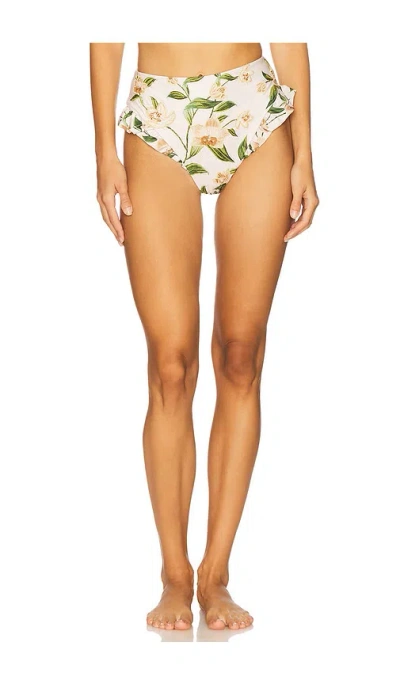 Agua By Agua Bendita Jengibre Bikini Bottom
