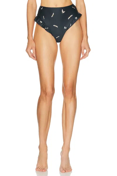 Agua By Agua Bendita Jengibre Bikini Bottom In Black