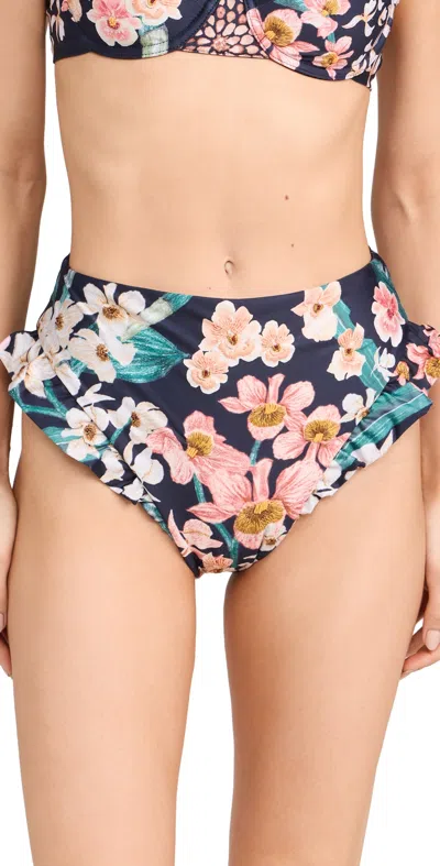 Agua By Agua Bendita Jengibre Danza Bikini Bottoms In Black