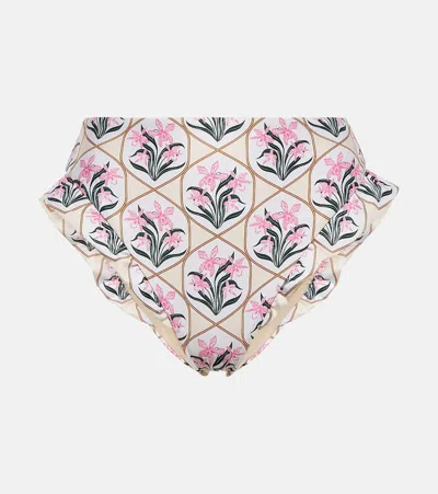 Agua By Agua Bendita Jengibre Orquidea Floral Bikini Bottoms In White