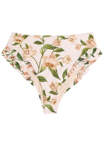 Agua By Agua Bendita Jengibre Orquidea Floral-embroidered Bikini Briefs In Multi